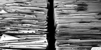 Jaka lornetka do obserwacji samolotów?