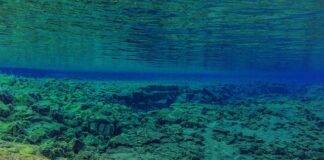 Czy neopren przepuszcza wodę?