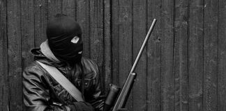 Jak działa celownik kolimatorowy?