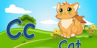 Czy fiszka jest bezpieczna? Czy fiszka jest bezpieczna?