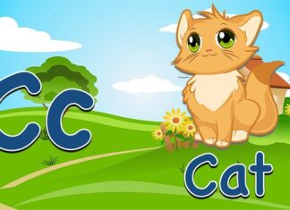 Czy fiszka jest bezpieczna?