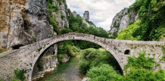 Jak odróżnić line statyczna od dynamicznej?