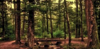 Jak jeździć na przedniej krawędzi?