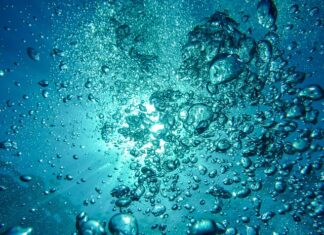 Jak suszyć piankę do nurkowania?