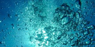 Czy do nurkowania trzeba umieć pływać? Czy do nurkowania trzeba umieć pływać?