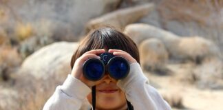 Do czego służy luneta biegowa? Do czego służy luneta biegowa?