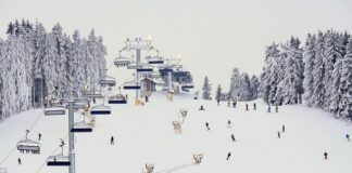 Jaka jest prędkość jazdy na snowboardzie?