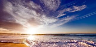 Jak przechowywać piankę do nurkowania?