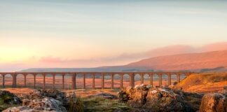 Jak konduktor sprawdza bilety?