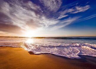 Jaka pianka na polskie wody?