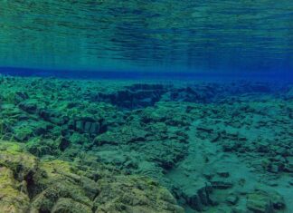 Jak prasować neopren?