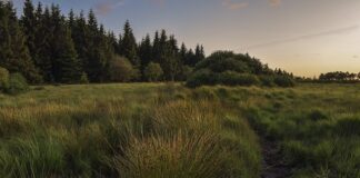 Jak cumować łódkę wędkarska?