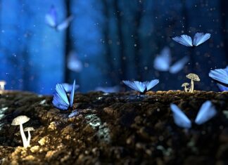 Czym zabezpieczyć drewno do kontaktu z żywnością?