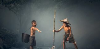 Jak nazywają się płetwy ryby?