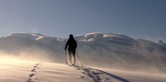 Czym się różni rower trekkingowy od roweru górskiego?
