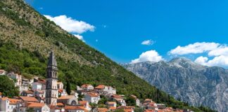 Czy w Adriatyku są jeżowce?