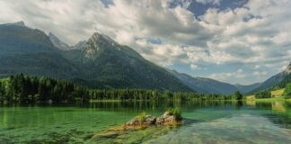 Jaki rozmiar ramy do wzrostu?