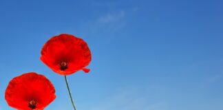 Jak golić miejsca intymne na zero?