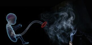 Kiedy płód jest najbardziej aktywny?