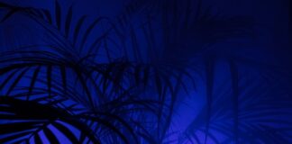 Czy legginsy są modne 2023? Czy legginsy są modne 2023?