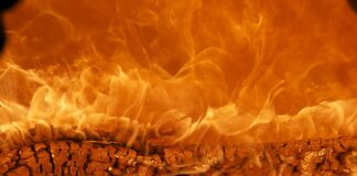 Co to za marka Uspa?