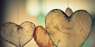 Do czego nosić brązowe kowbojki?