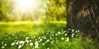 Jak długo trwał Dziki Zachód?