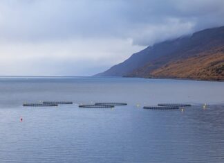 Ile trzeba mieć torebek?