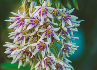 Jakie kozaki modne 2023? Jakie kozaki modne 2023?