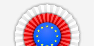 Jak zrobić kotylion w przedszkolu?